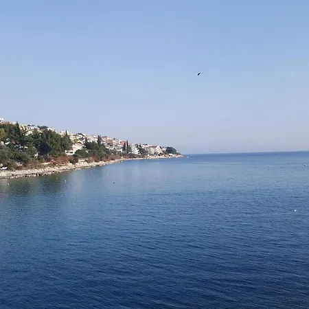 Simic * 트로기르