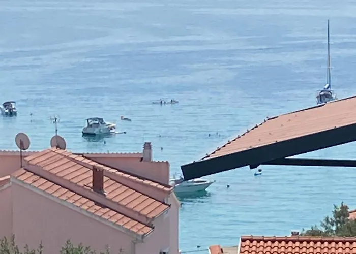 Simic * 特罗吉尔