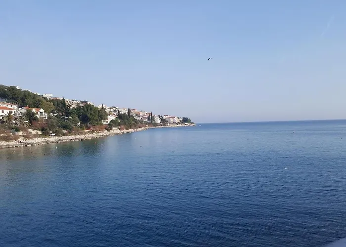 Simic * 特罗吉尔